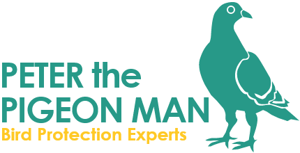 peterthepegionman-logo